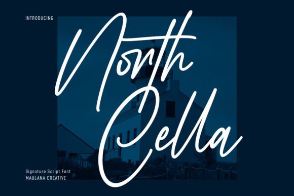 Elevate Your Brand with the North Cella Typeface