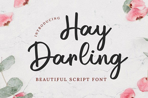 Hay Darling Font: The Script Typeface for Scroll-Stopping Designs