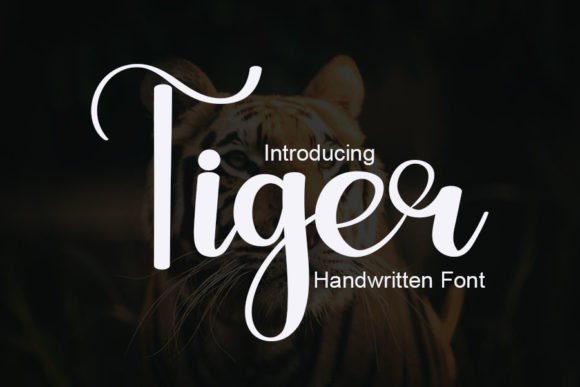 Tiger: A Handwritten Font for Web Design